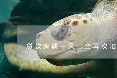 贷款逾期一天 会再次扣款吗 贷款逾期一天 会再次扣款吗